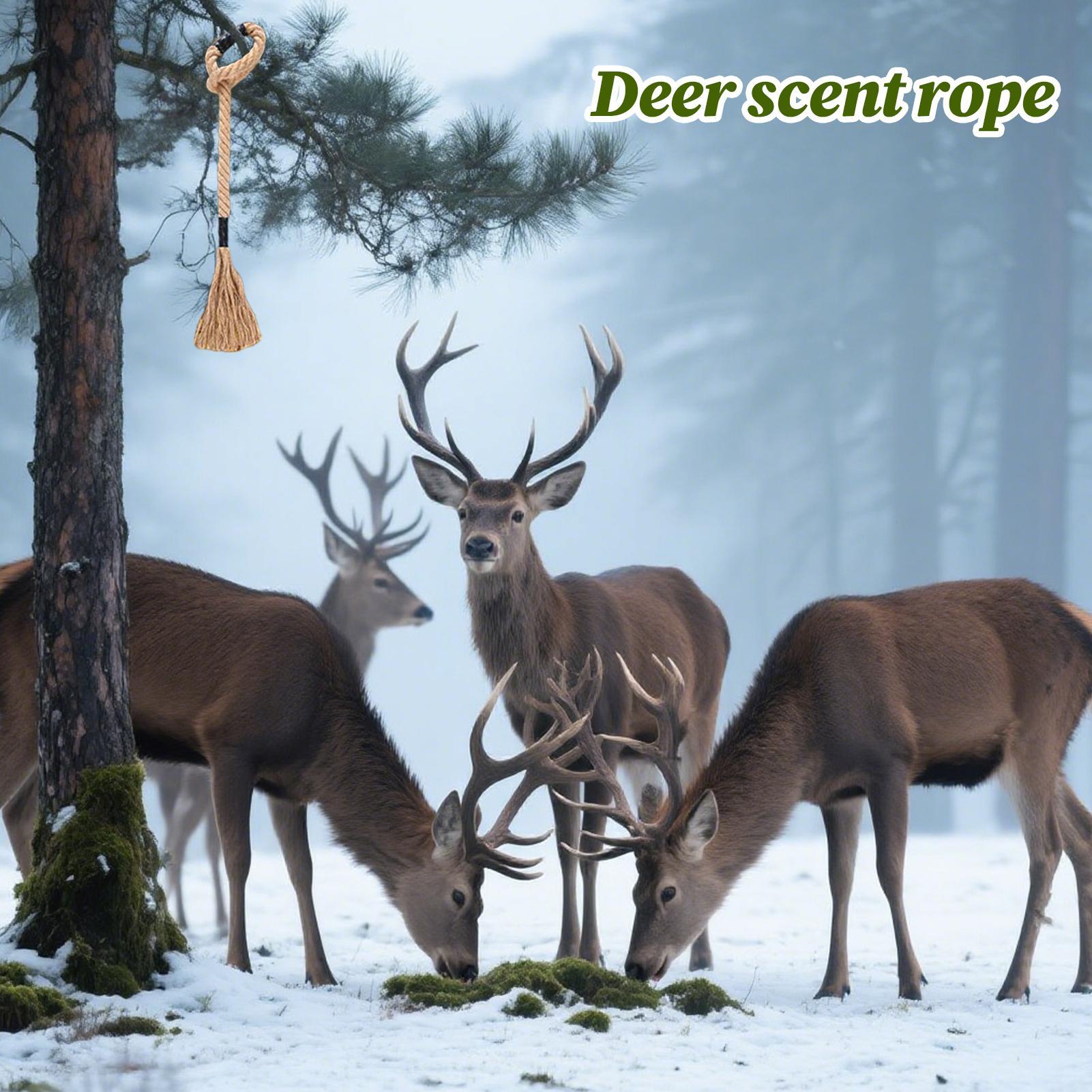 Deer Scrape Effective Long-Las - огляд і ціна Deer Attractant Scent